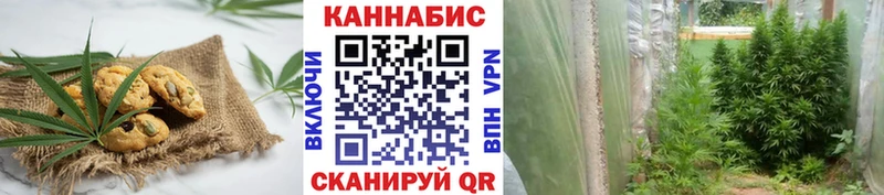 мега сайт  площадка какой сайт  Черняховск  Еда ТГК конопля  дарнет шоп 