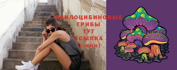 спиды Покровск