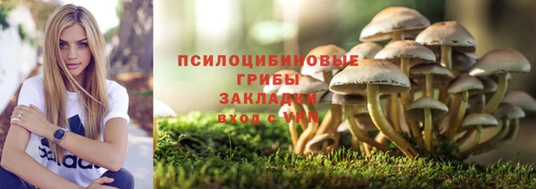 амф Покров