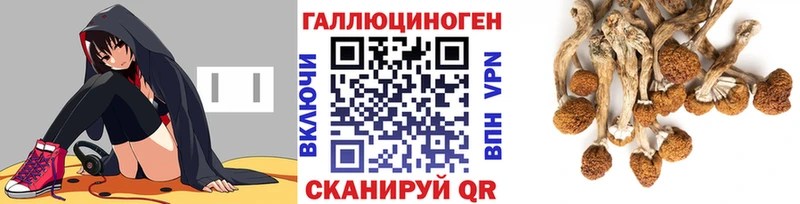 Галлюциногенные грибы ЛСД  blacksprut зеркало  Черняховск 
