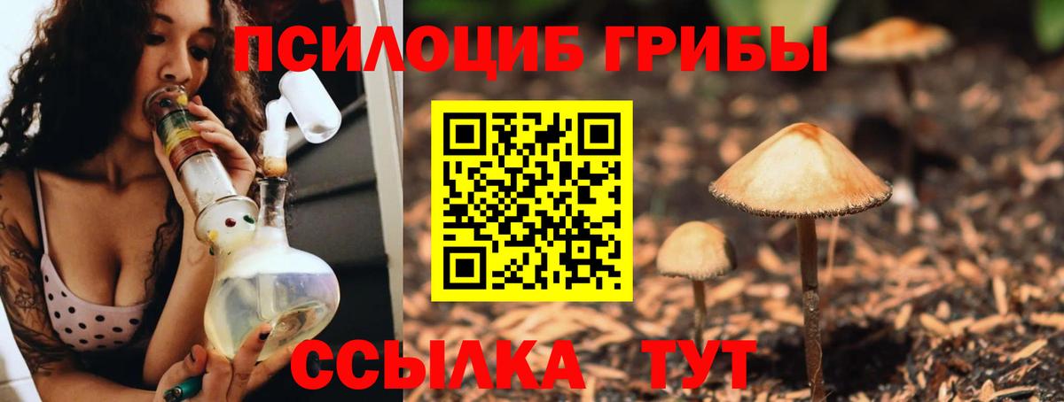 Черняховск  Галлюциногенные грибы мухоморы  Галлюциногенные грибы мухоморы  Вход с VPN 